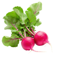 Radish, clipping path isolate on transparency background png