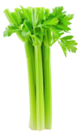 Celery, clipping path isolate on transparency background png