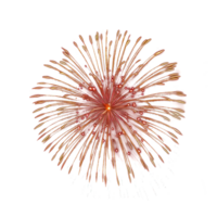 Beautiful firework on transparency background png