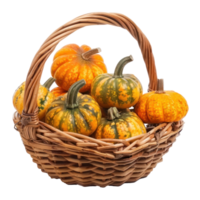 Pumpkin vegetable in basket isolate on transparency background png