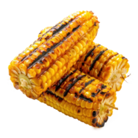 Grilled corn isolate on transparency background png