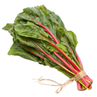 Bundle of Chard isolate on transparency background png