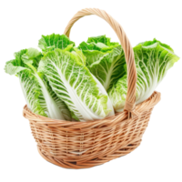 Chinese cabbage in basket isolate on transparency background png