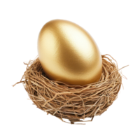 golden nest egg isolate on transparency background png