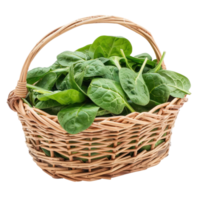 spinach in a basket isolate on white background png
