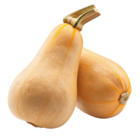 two squash on a transparent background png