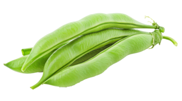 Green beans in a pod isolate on transparency background png