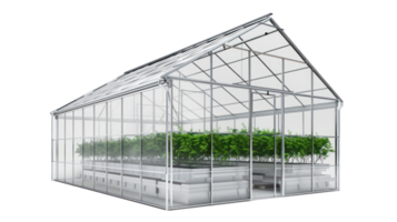 Empty greenhouse, 3d rendering isolate on transparency background png