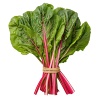 Bundle of Chard isolate on transparency background png