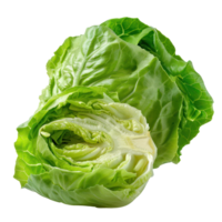 whole and half Butter Lettuce isolate on transparency background png