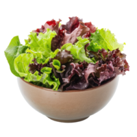 Green and Red Leaf Lettuce in a bowl front view isolate on transparency background png