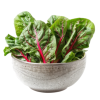 Chard in a bowl front view isolate on transparency background png