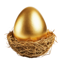 golden nest egg side view isolate on transparency background png