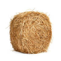hay front view isolate on transparency background png