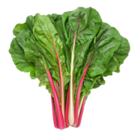 Bundle of Chard isolate on transparency background png
