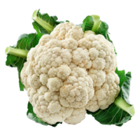 Cauliflower, clipping path isolate on transparency background png