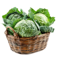 Green Cabbage in basket isolate on transparency background png