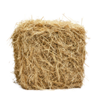 hay front view isolate on transparency background png