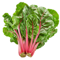 Chard, clipping path isolate on transparency background png
