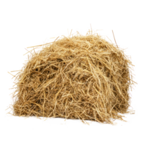 hay side view isolate on transparency background png