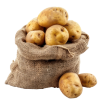 Ripe potato in burlap sack isolate on transparency background png