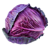 Purple Cabbage, clipping path isolate on transparency background png