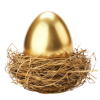golden nest egg front view isolate on transparency background png