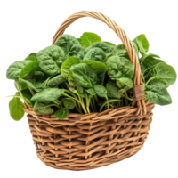 spinach in basket isolate on white background png