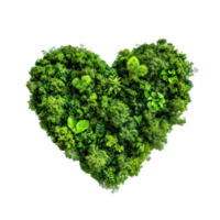 Heart made of forest top view isolate on transparency background png