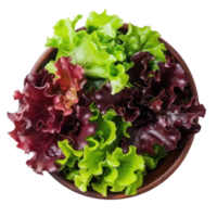 Green and Red Leaf Lettuce in a bowl top view isolate on transparency background png