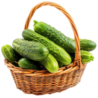Cucumber in basket isolate on transparency background png
