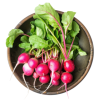 Radish in a bowl top view isolate on transparency background png