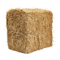 hay side view isolate on transparency background png