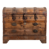 Trunk front view full length isolate on transparency background png
