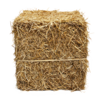 hay front view isolate on transparency background png