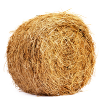 hay front view isolate on transparency background png