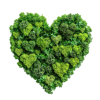 Heart made of forest top view isolate on transparency background png