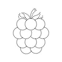 tracing raspberry illustration vector
