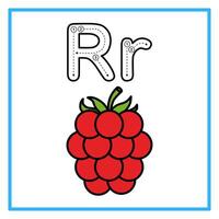 tracing alfabet flat raspberry illustration vector