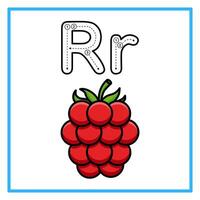 tracing alfabet raspberry fruit illustration vector
