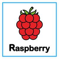 flat raspberry alfabet illustration vector