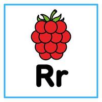 flat raspberry alfabet r illustration vector