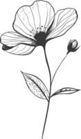 An image of a flower with leaves and leaves vector