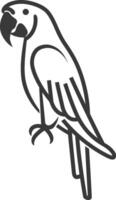 A black and white drawing of a parrot vector