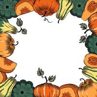 Autumn pumpkin sketch square frame. Thanksgiving greeting card template. vector