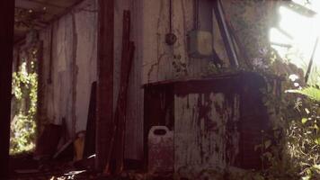 Abandoned shed overtaken by nature with vines and rustic tools in sunlight video