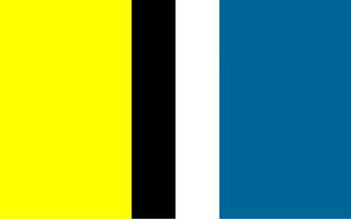 Flag of the Novosol district vector