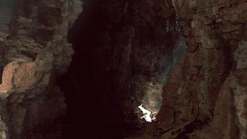 Exploring the depths of a dark cave illuminated by natural light video