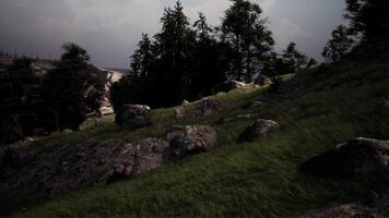 Rocky hillside with sparse trees and low grass under a cloudy sky in nature video