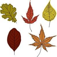 Set of line art leaves with color shapes. Black outline silhouettes of branches and leaves vector